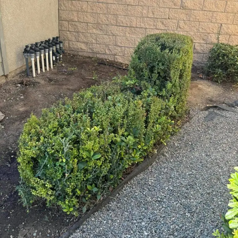 Debris removal Bakersfield