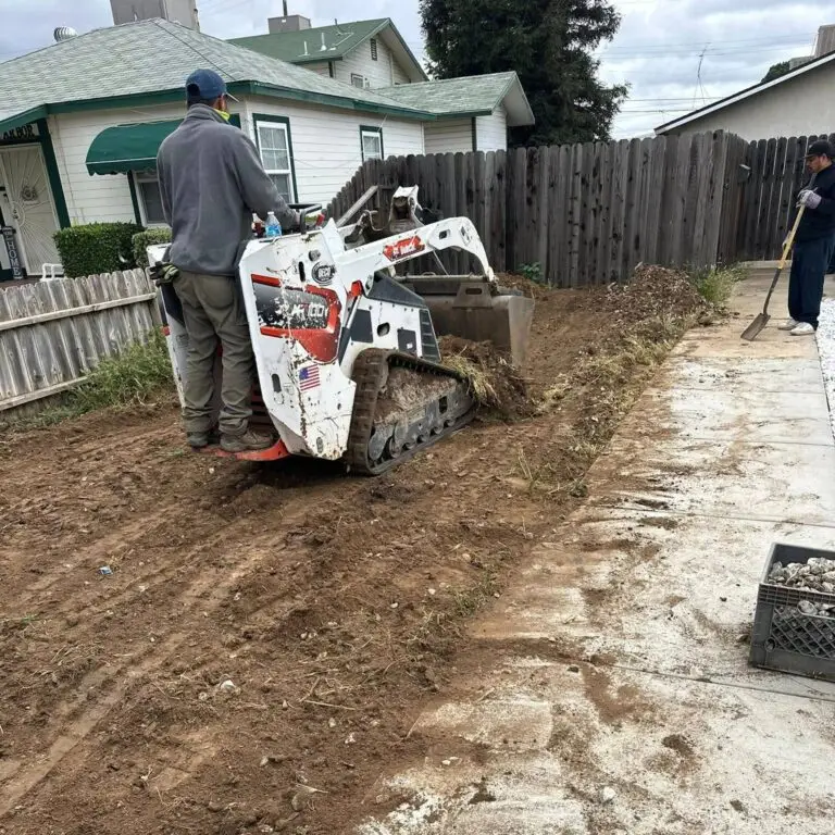 Before junk removal
